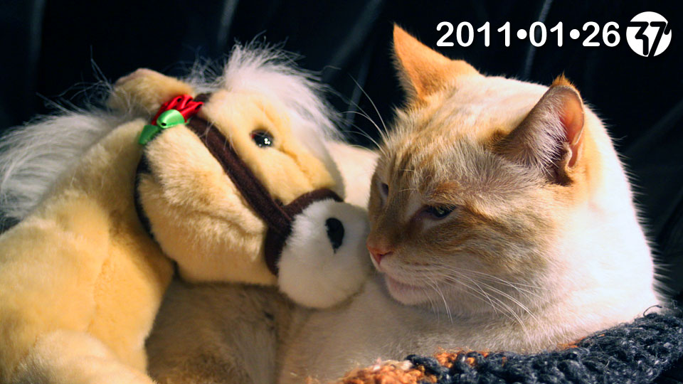 20110126