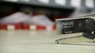 A Stapler Fish