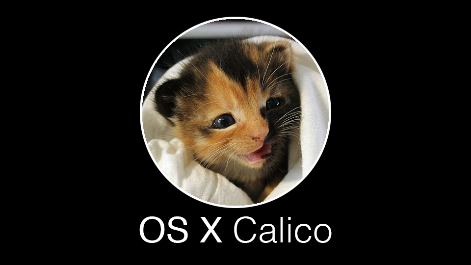 OS-X-Calico-banner