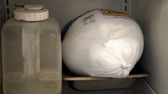 Turkey in the fridge