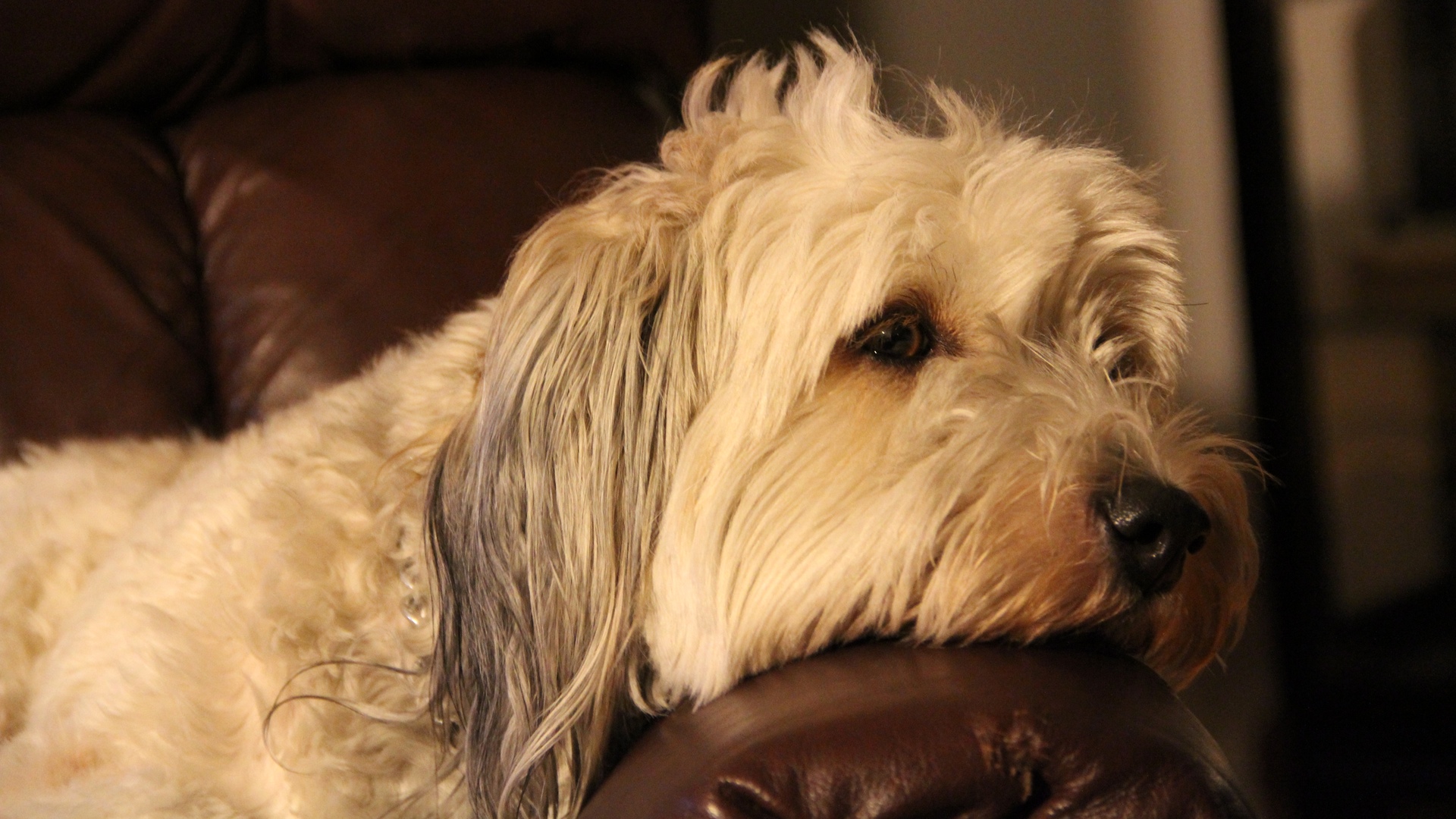 Lola in Natural Sepia