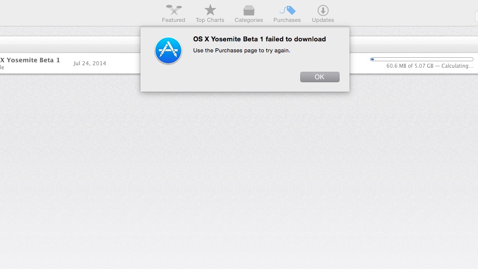 OS X Yosemite Beta 1 failed to download