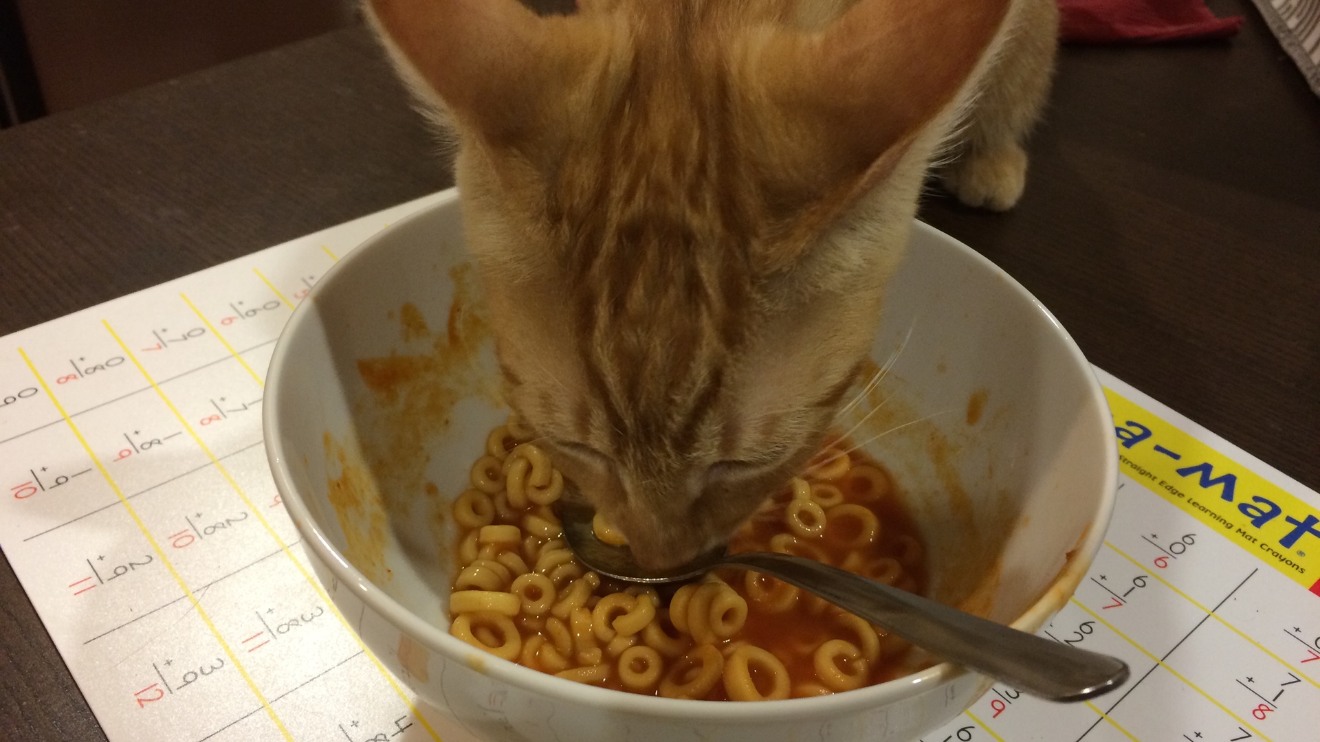 Tabascus loves SpaghettiOs