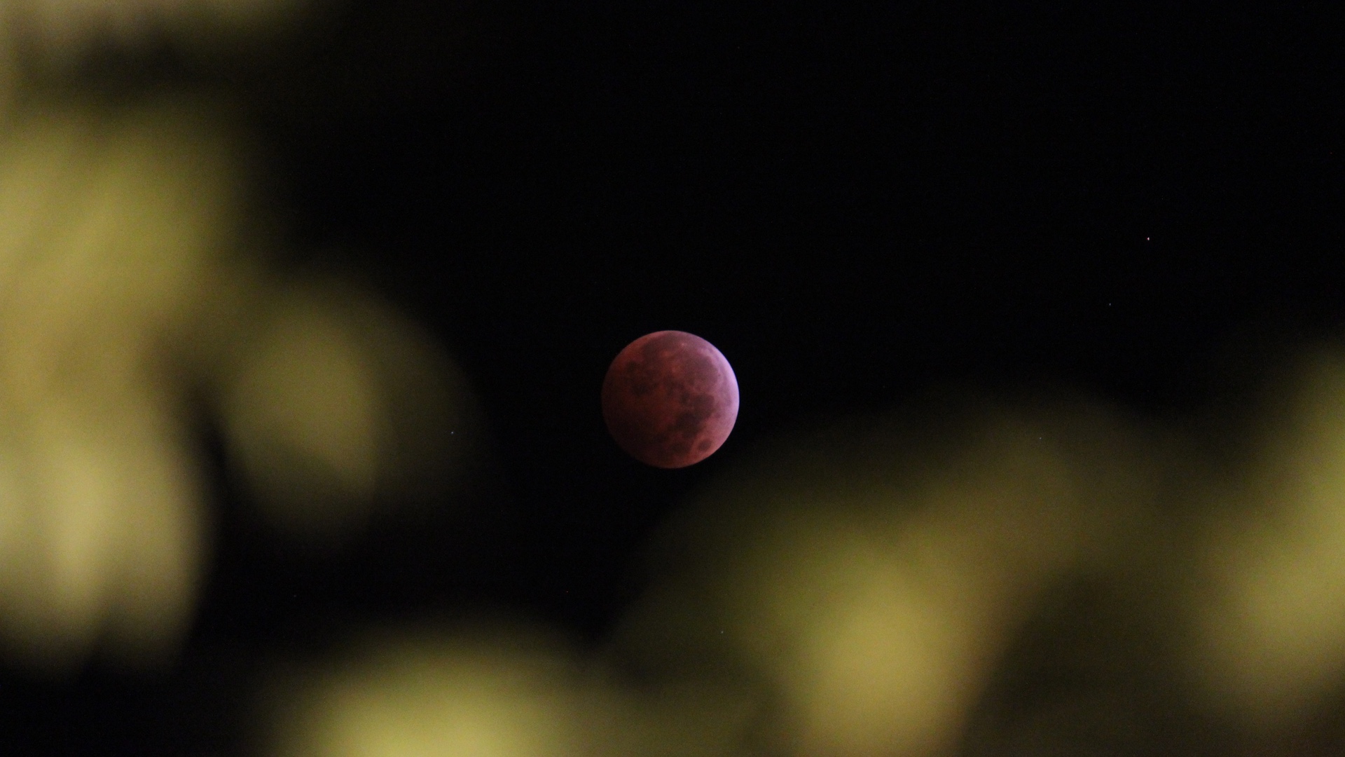 Blood Moon 20141008 3