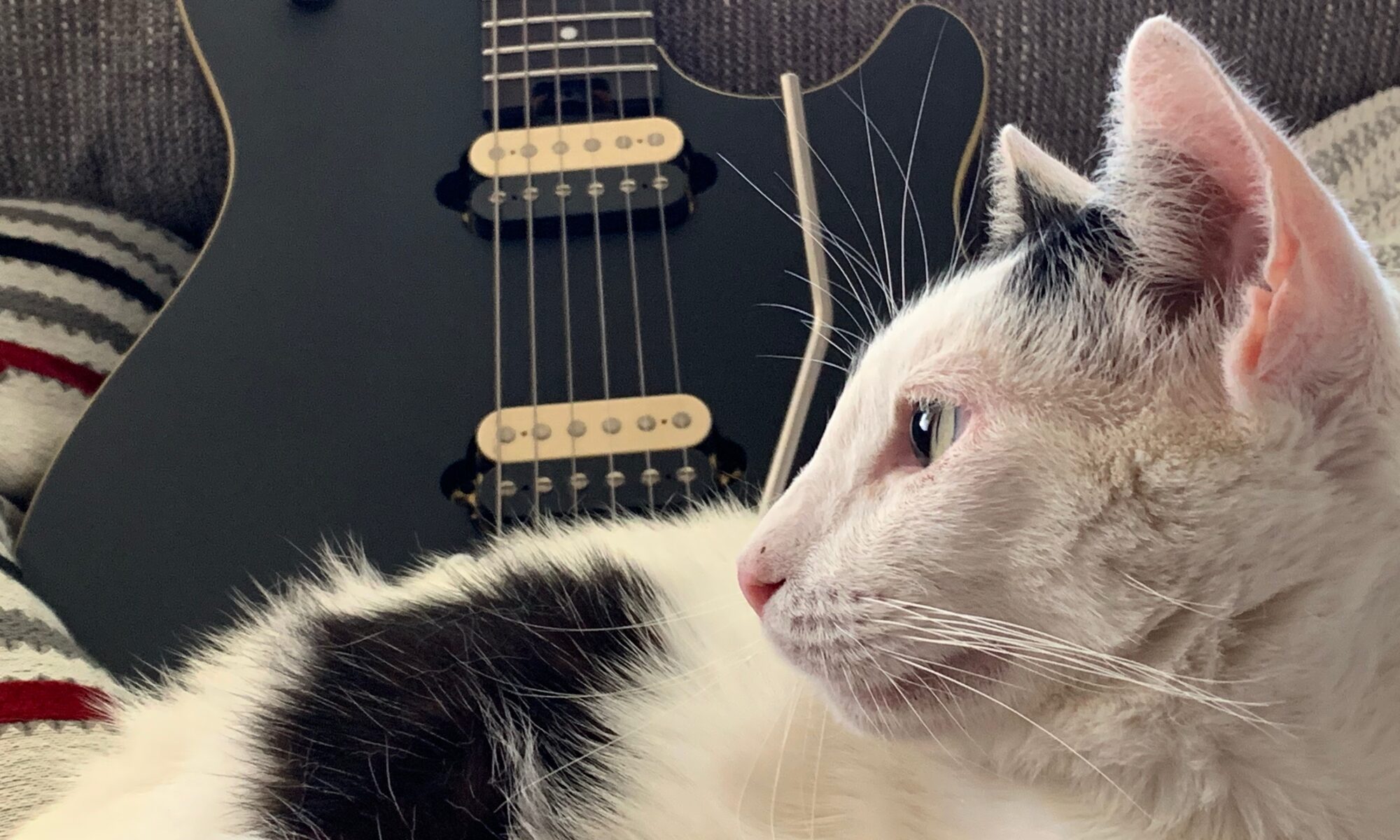Tuna Wolfgang